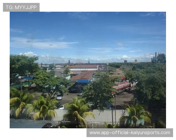 圭亚那打造乌龟运动特色文化节，圭亚那景点