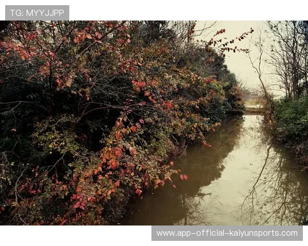 海湾者防守成败关键，压力显现，海湾什么
