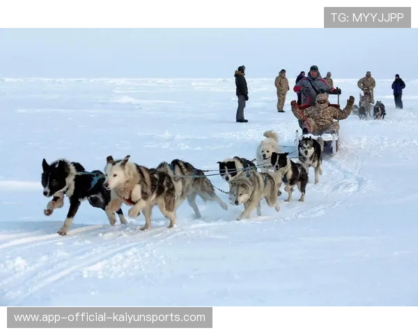 雪橇锦标：俄罗斯队稳居金牌榜，突破纪录在望！，俄罗斯雪橇犬