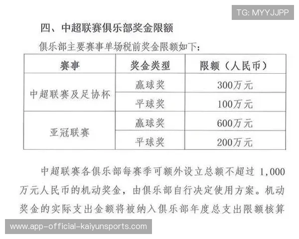 俱乐部青训经费审计模板与合规披露要求,俱乐部青训什么意思